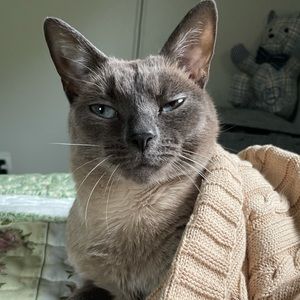 Meet your Posher, Jane